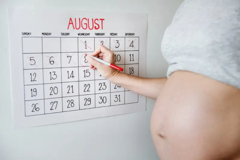 calculadora de embarazo con fecha de concepción